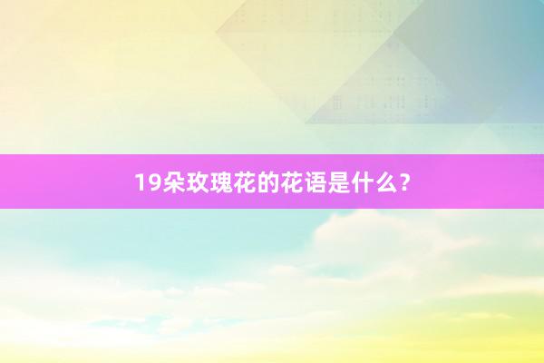 19朵玫瑰花的花语是什么？